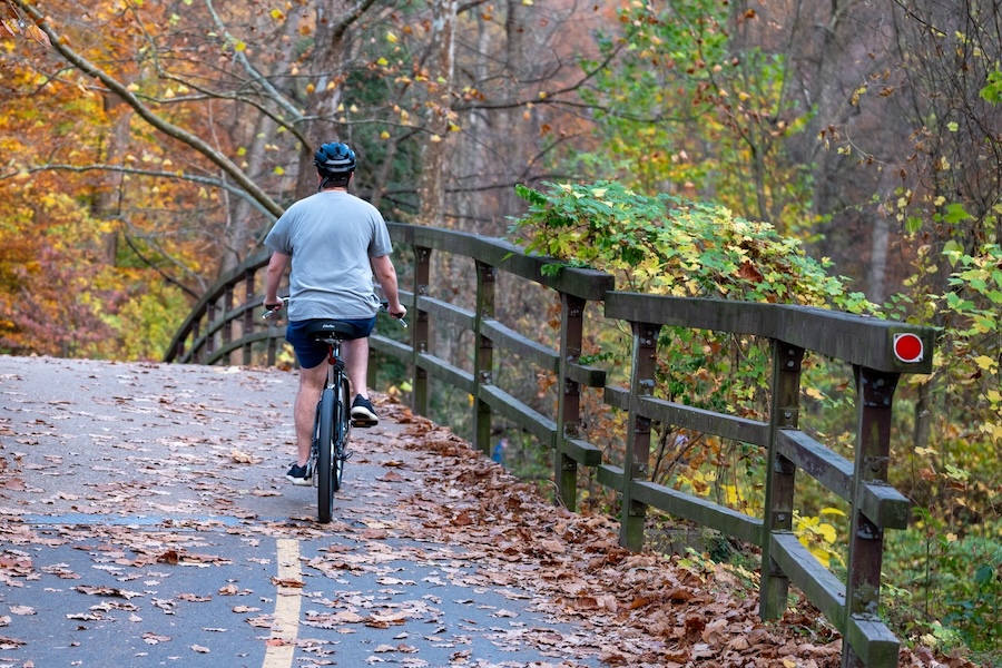 A cyclist rides through a forested path covered in fallen leaves on a crisp autumn day.