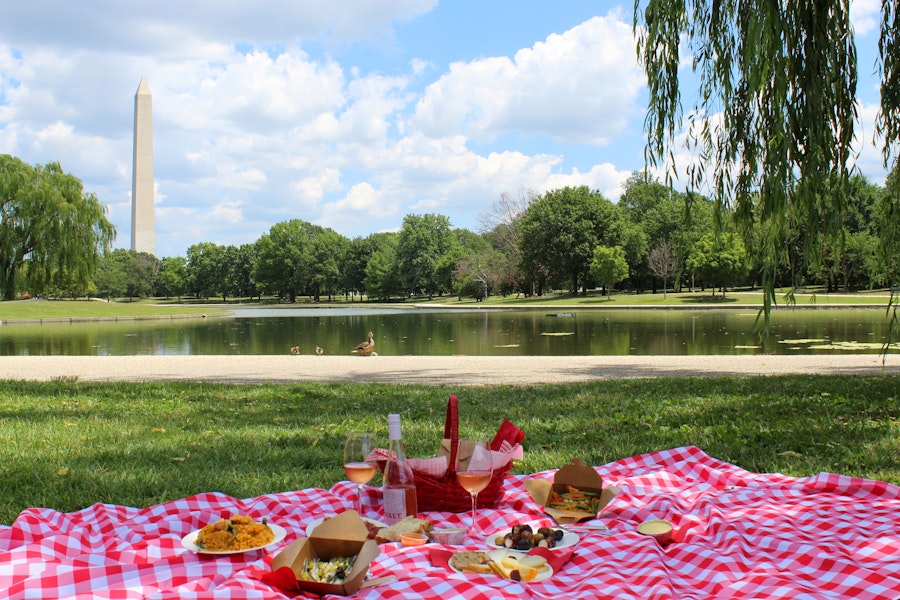 A red checkered picnic blanket is spread with food and drinks at Constitution Gardens with the Washington Monument in the background.