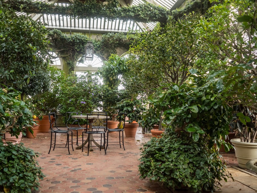 The Orangery at Dumbarton Oaks in Washington, DC features lush greenery and wrought-iron seating beneath a skylit roof.