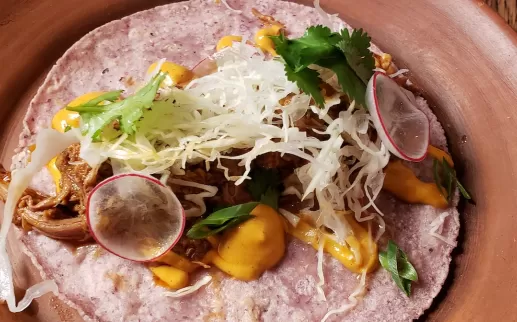 A taco served on a purple corn tortilla, topped with shredded meat, cabbage, radish slices, and fresh cilantro, with drizzles of a creamy orange sauce. The dish is presented on a rustic clay plate.