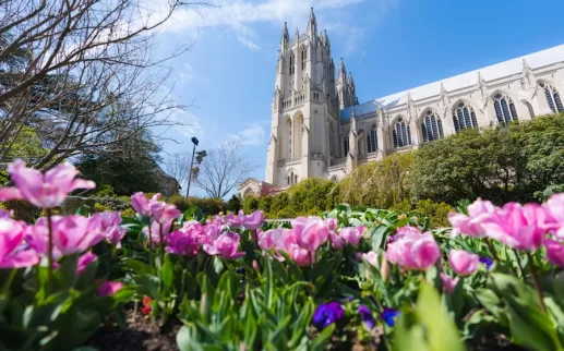 National Cathedral with some flowers 
