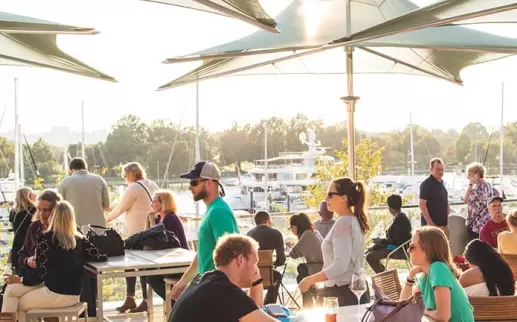 Choose from these sustainable and eco-friendly places to eat and things to do in Washington, DC