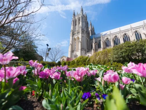 National Cathedral with some flowers 