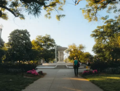 A scenic view of Dupont Circle featuring the central fountain, blooming flowers, and people strolling along the sunlit pathways.