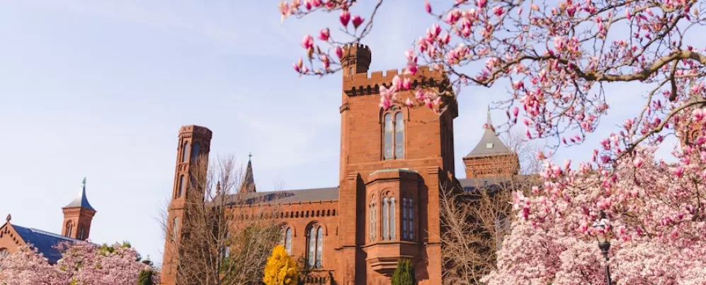 Picture of Enid Haupt Garden 
